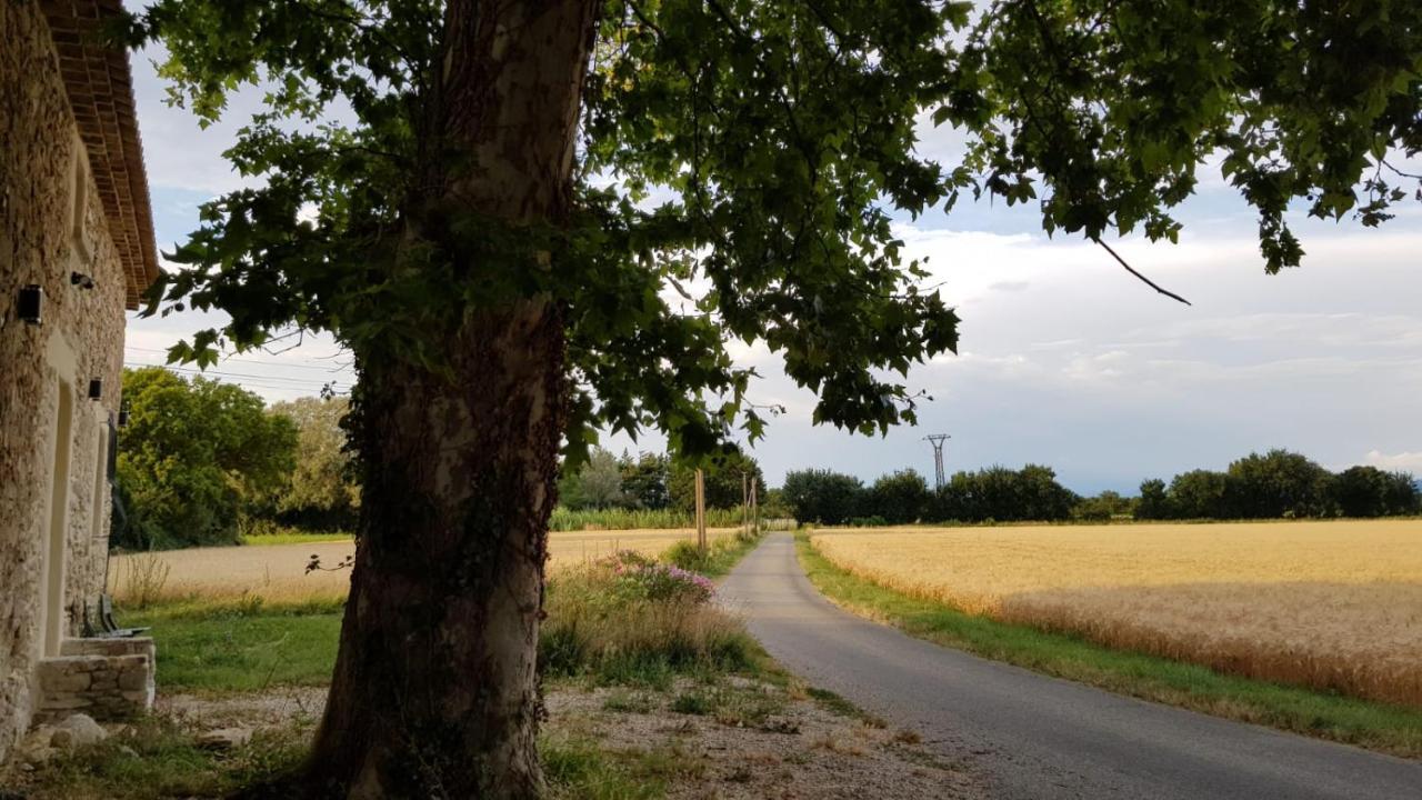 Maison Au Calme En Campagne Climatisee Caderousse Exterior photo